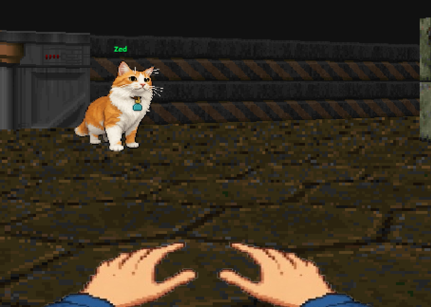 Cat3D