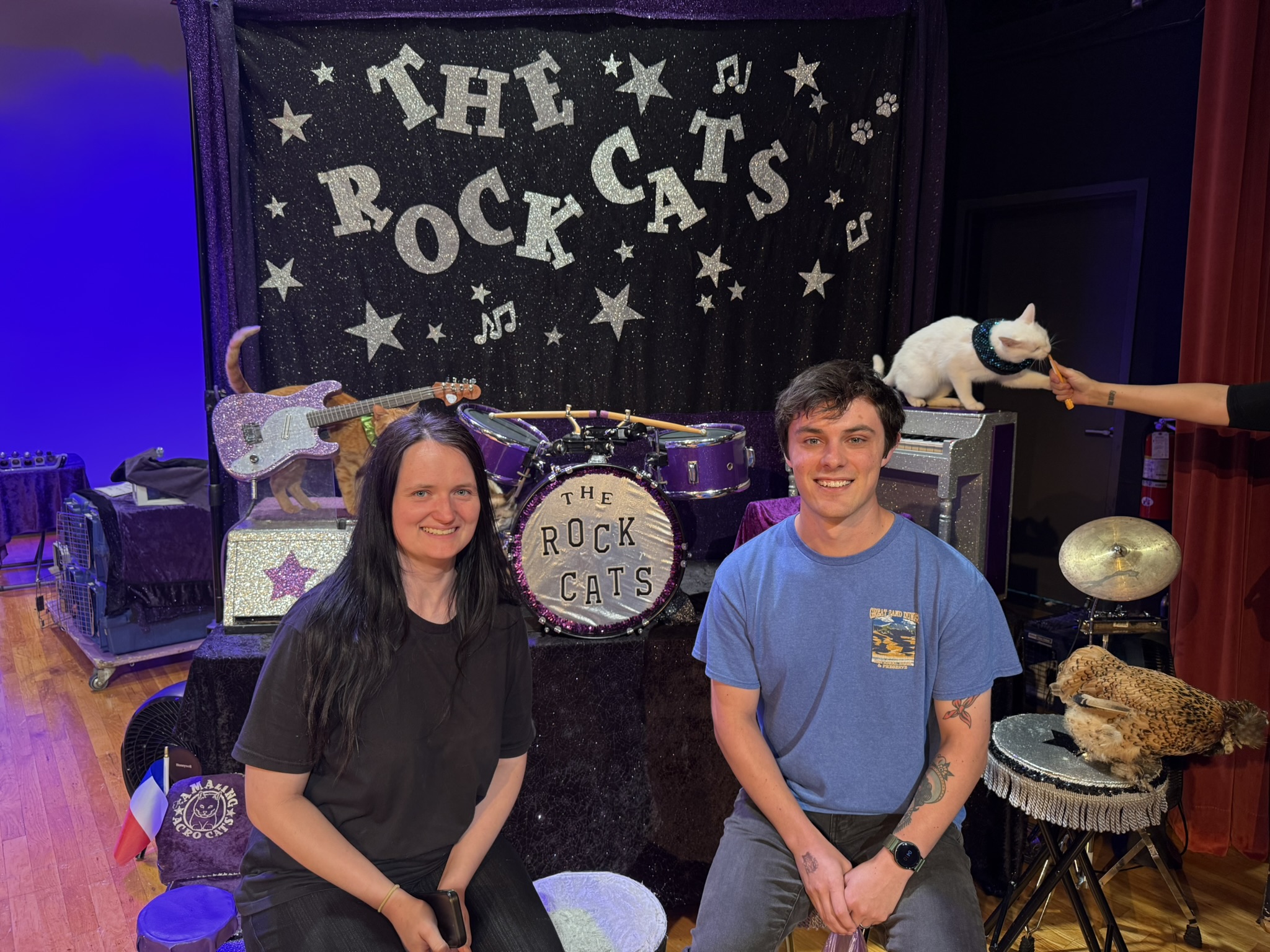 Rock Cats concert 2025